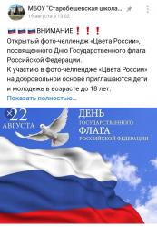 Единые онлайн - занятия «День флага России»