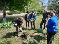 МБОУ «Петровская школа» присоединилась  к  всероссийской акции  «Сад памяти»