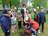 МБОУ «Осыковская школа» приняла участие в Акции «Сад памяти»